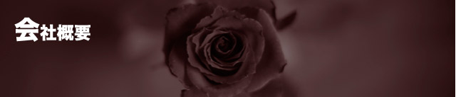 会社概要